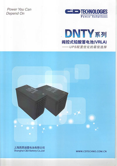 DNTY系列 閥控式鉛酸蓄電池（VRLA）